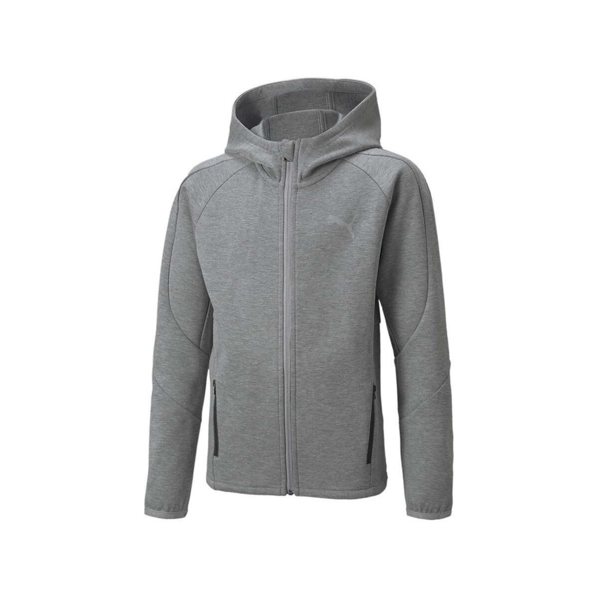 Textiel Jongens Sweaters / Sweatshirts Puma  Grijs