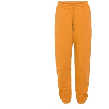 Textiel Broeken / Pantalons Colorful Standard Jogging  Organic sunny orange Oranje