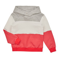 Textiel Meisjes Sweaters / Sweatshirts Only KOGMADDIE L/S BLOCK HOODIE CS SWT Roze