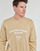 Textiel Heren Sweaters / Sweatshirts Calvin Klein Jeans VARSITY CURVE CREW NECK Beige