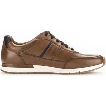Schoenen Heren Sneakers Pius Gabor 1047.10.02 Bruin