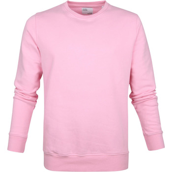Textiel Heren Sweaters / Sweatshirts Colorful Standard Sweater Pastel Roze Roze