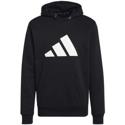 Textiel Heren Sweaters / Sweatshirts adidas Originals M Fi Wtr Hoodie Zwart