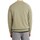 Textiel Heren Sweaters / Sweatshirts Timberland 208763 Groen