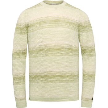 Textiel Heren Sweaters / Sweatshirts Cast Iron Trui Strepen Groen Groen
