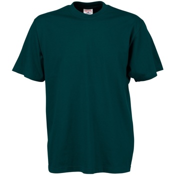Textiel Heren T-shirts korte mouwen Tee Jays TJ8000 Groen