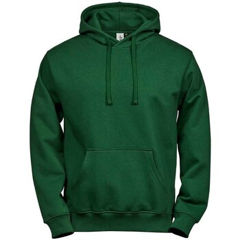 Textiel Heren Sweaters / Sweatshirts Tee Jays  Groen
