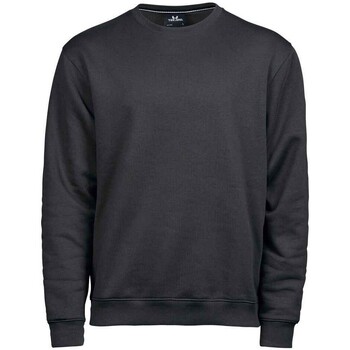 Textiel Sweaters / Sweatshirts Tee Jays  Grijs