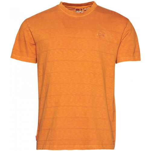 Textiel Heren T-shirts & Polo’s Superdry Vintage texture Oranje