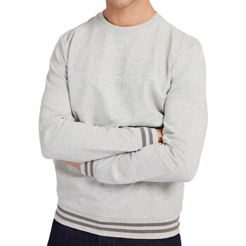 Textiel Heren Sweaters / Sweatshirts Guess  Grijs