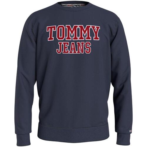 Textiel Heren Sweaters / Sweatshirts Tommy Jeans  Blauw