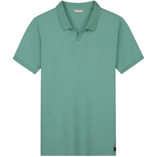 Textiel Heren T-shirts & Polo’s Dstrezzed Polo Bowie Groen Groen