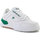 Schoenen Heren Lage sneakers Fila MODERN T'23 FFM0216-13063 Multicolour