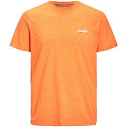 Textiel Jongens T-shirts & Polo’s Jack & Jones  Oranje