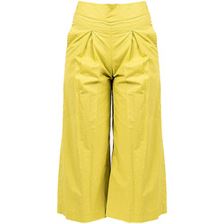 Textiel Dames Broeken / Pantalons Pinko 1G161E Y6VX | Teso 4 Groen