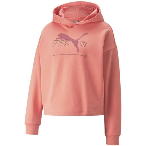 Textiel Dames Sweaters / Sweatshirts Puma  Other