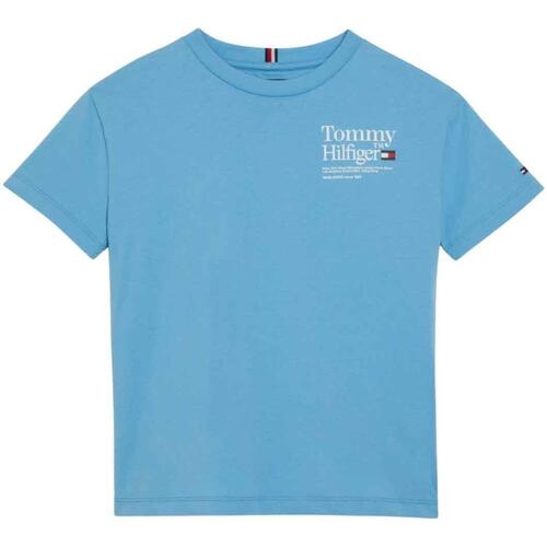 Textiel Jongens T-shirts & Polo’s Tommy Hilfiger  Blauw