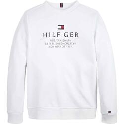 Textiel Jongens Sweaters / Sweatshirts Tommy Hilfiger  Wit