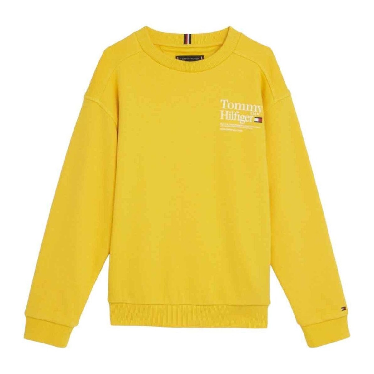 Textiel Jongens Sweaters / Sweatshirts Tommy Hilfiger  Geel