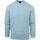 Textiel Heren Sweaters / Sweatshirts BOSS Pullover Apok Lichtblauw Blauw