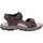 Schoenen Heren Sandalen / Open schoenen Valleverde VV-54802 Bruin