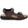 Schoenen Heren Sandalen / Open schoenen Valleverde VV-36921 Bruin
