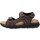 Schoenen Heren Sandalen / Open schoenen Valleverde VV-36921 Bruin