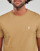 Textiel Heren T-shirts korte mouwen Polo Ralph Lauren T-SHIRT AJUSTE EN COTON Beige