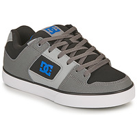 Schoenen Heren Lage sneakers DC Shoes PURE Zwart / Grijs / Blauw