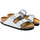 Schoenen Dames Sandalen / Open schoenen Birkenstock Arizona BS Zilver