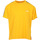 Textiel Dames T-shirts korte mouwen Fila Adalmiina Tee Wn's Oranje