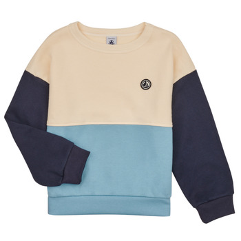 Textiel Jongens Sweaters / Sweatshirts Petit Bateau LOEL Marine / Wit / Blauw