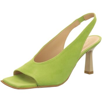 Schoenen Dames Sandalen / Open schoenen Zinda  Groen