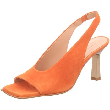 Schoenen Dames Sandalen / Open schoenen Zinda  Oranje