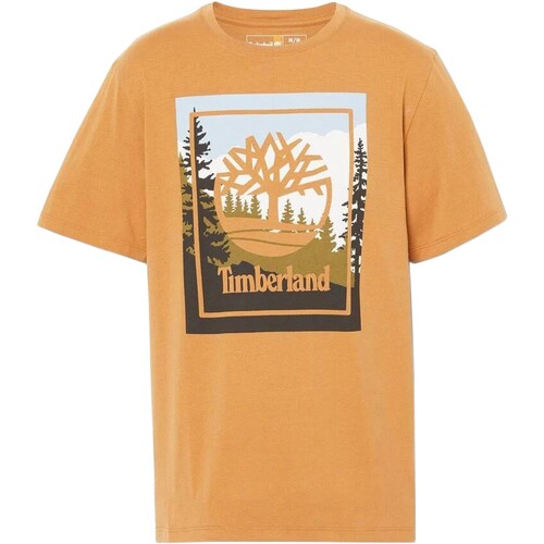 Textiel Heren T-shirts korte mouwen Timberland 212160 Geel