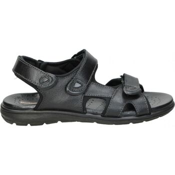 Schoenen Heren Sandalen / Open schoenen Doctor Cutillas SANDALIAS  70115 CABALLERO NEGRO Zwart
