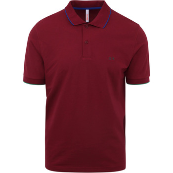 Textiel Heren T-shirts & Polo’s Sun68 Poloshirt Small Stripe Bordeaux Bordeau