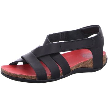 Schoenen Dames Sandalen / Open schoenen Loint's Of Holland  Zwart