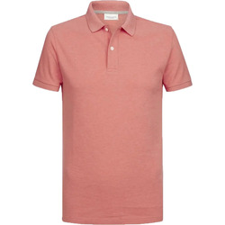 Textiel Heren T-shirts & Polo’s Profuomo Polo Roze Melange Roze
