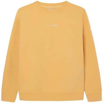 Textiel Jongens Sweaters / Sweatshirts Pepe jeans  Geel