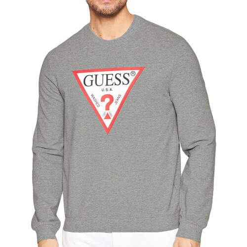 Textiel Heren Sweaters / Sweatshirts Guess  Grijs