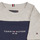 Textiel Jongens T-shirts korte mouwen Tommy Hilfiger ESSENTIAL COLORBLOCK TEE S/S Grijs