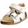 Schoenen Kinderen Sandalen / Open schoenen Falcotto BEA Multicolour