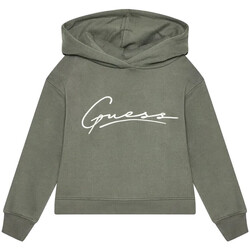 Textiel Meisjes Sweaters / Sweatshirts Guess  Groen