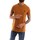 Textiel Heren T-shirts korte mouwen Timberland TB0A2BPRP471 Oranje