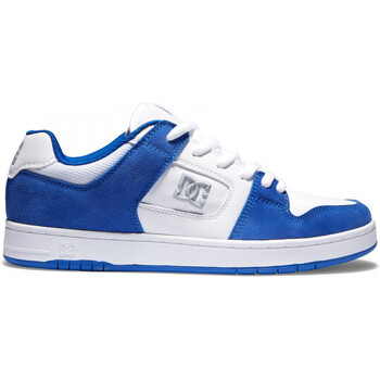 Schoenen Heren Skateschoenen DC Shoes Manteca 4 s Blauw