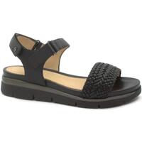 Schoenen Dames Sandalen / Open schoenen Stonefly STO-E23-219164-BL Zwart