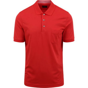 Textiel Heren T-shirts & Polo’s Olymp Poloshirt Rood Rood
