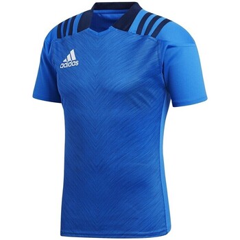 Textiel Heren T-shirts korte mouwen adidas Originals R Trg Jersey 1 Blauw