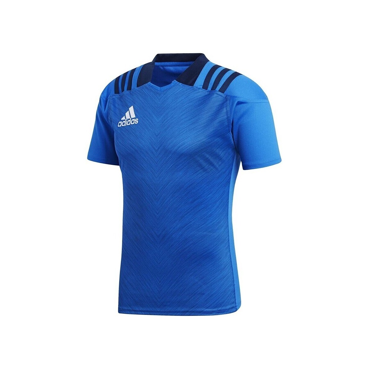 Textiel Heren T-shirts korte mouwen adidas Originals R Trg Jersey 1 Blauw